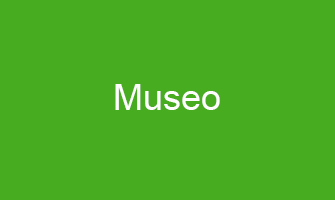 Brand Name : Museo