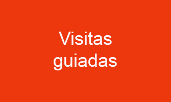 Brand Name : Visitas guiadas